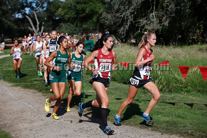 2014StanfordCollWomen-065.JPG - College race at the 2014 Stanford Cross Country Invitational, September 27, Stanford Golf Course, Stanford, California.